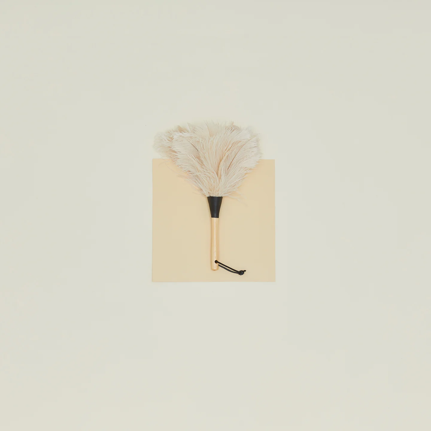 Feather Duster - Image 3