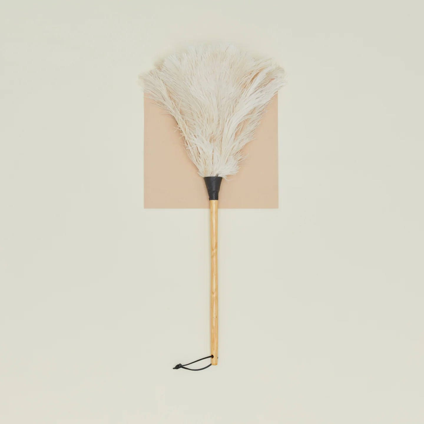 Feather Duster - Image 4